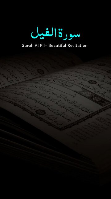 Surah Al Fil | Beautiful Reaction