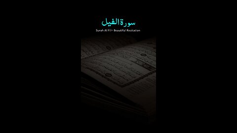 Surah Al Fil | Beautiful Reaction