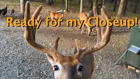 Bucks and Babies! September 17th