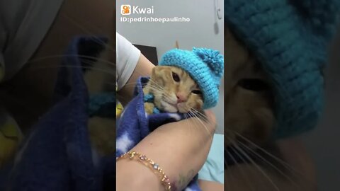 vídeos shorts do kawai #shorts
