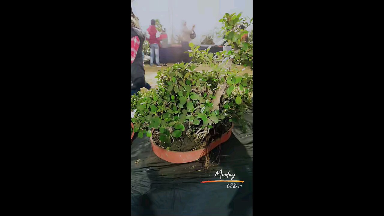 Chand sifarish jo krta humari