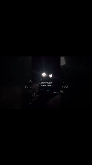 YouTube: @binoaveri 🩸 #fyp #explore #foryou