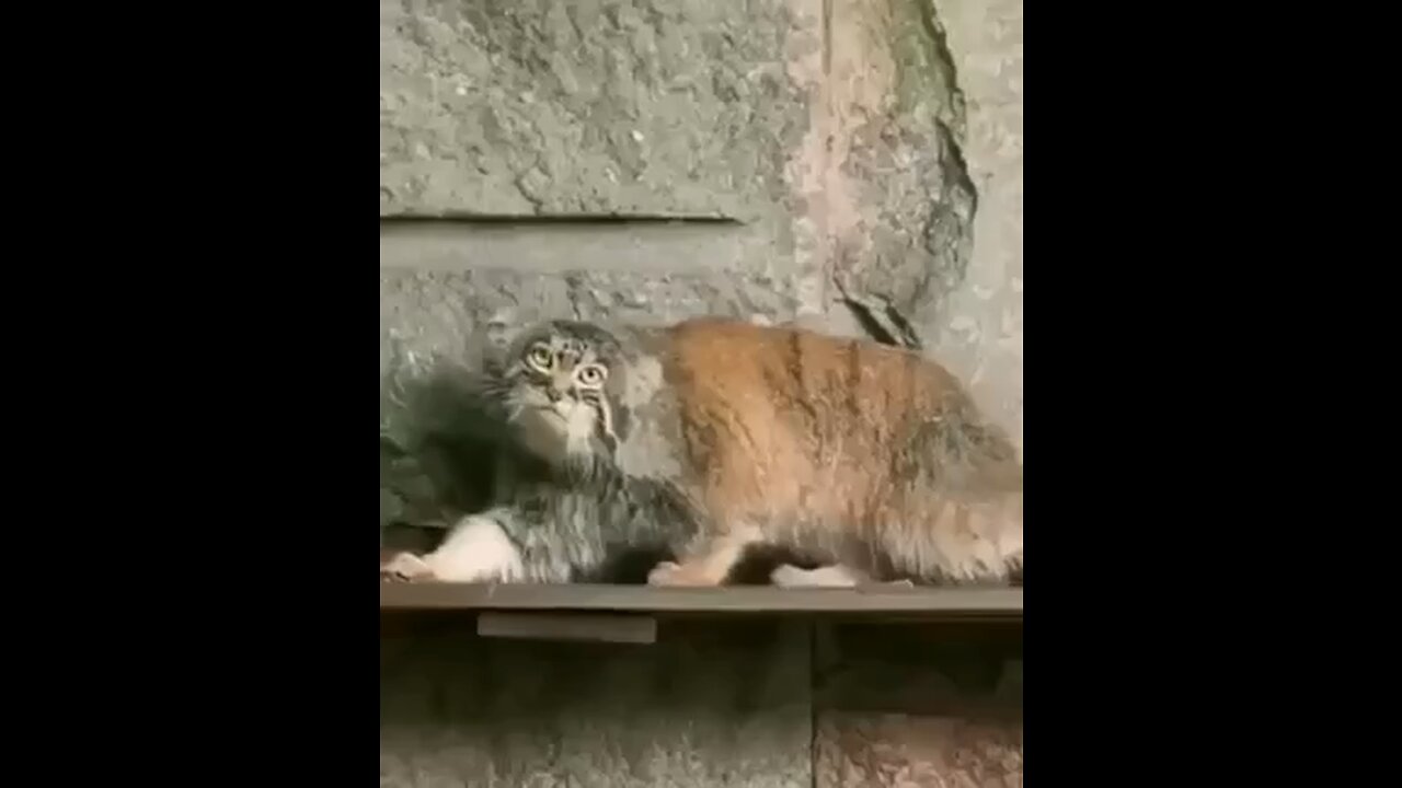 When you want to leave work early