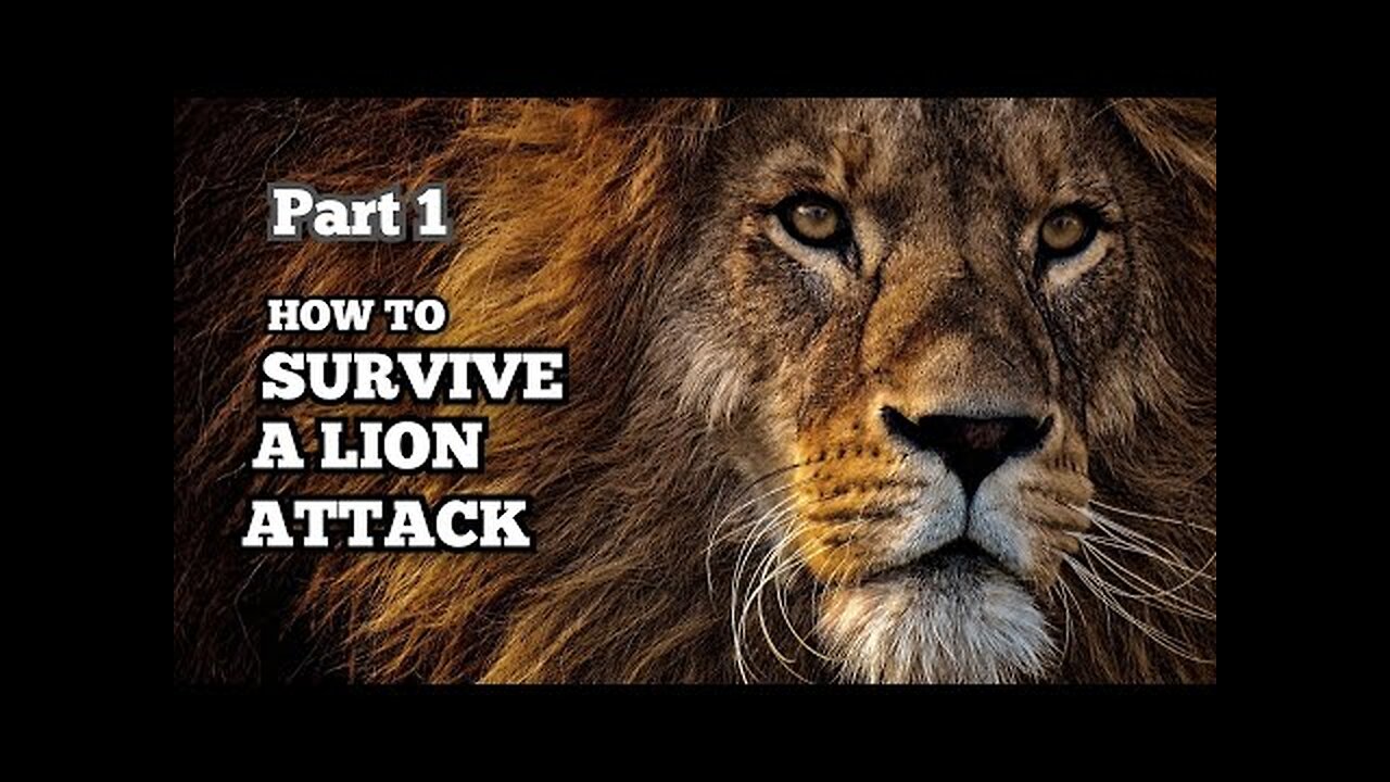 How to Survive a Lion Attack--Part 1#LionAttackSafety #SurvivalTips