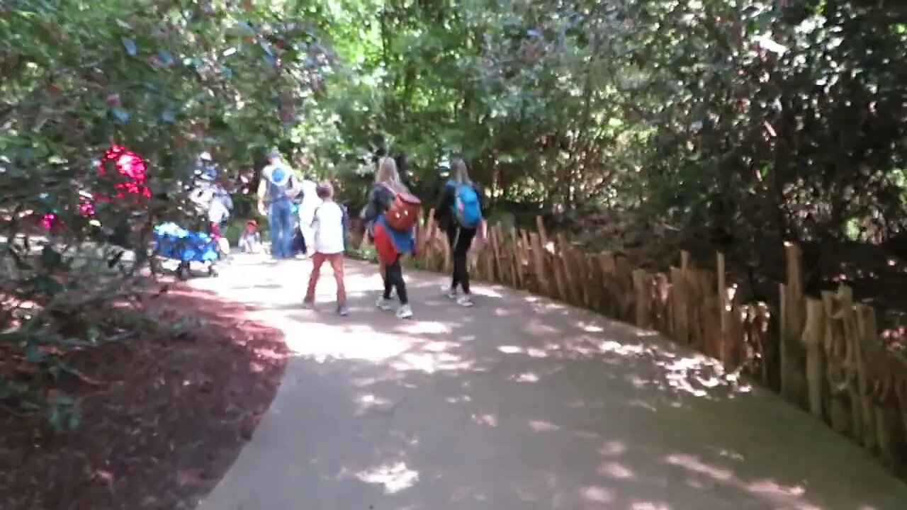 North Carolina Zoo (Asheboro, NC) - come walk with me, Steve Martin (#5 of 11 short videos)