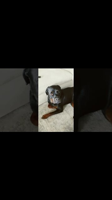 Just because you don’t see the beast…