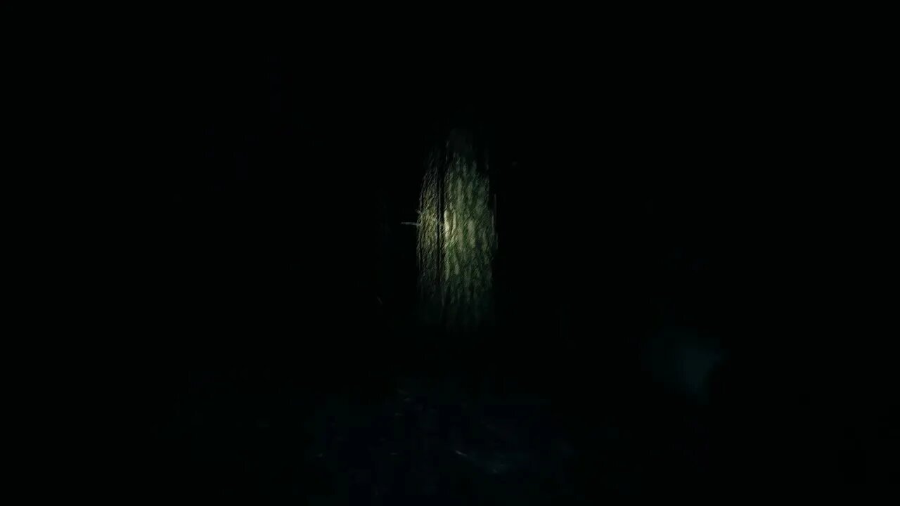 Blair Witch PC Game With Reshade to get Rid Of Blur