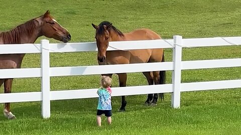 Cute Kiddo Summons Horse Herd !