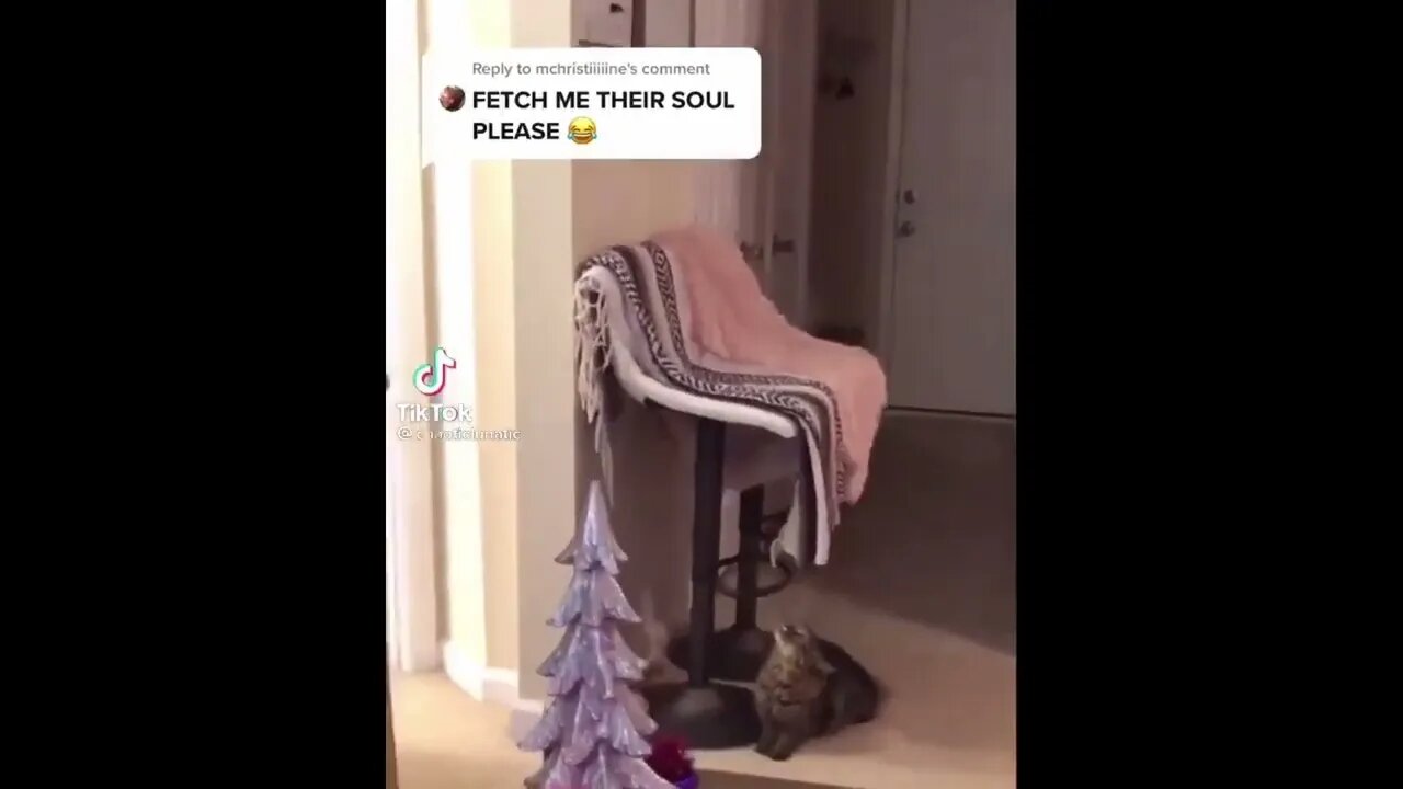 Fetch me Their Souls