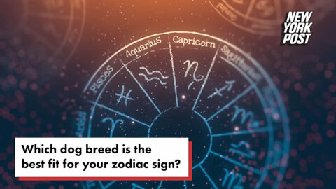 What dog breed is most compatible with your zodiac sign?