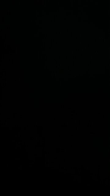 The Covid Vaccine 💉