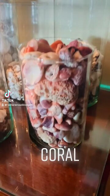 Separating beach 🏖 treasure is fun. 💚