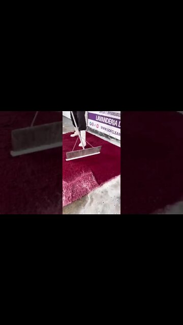 #shorts #2022 funny,prank,funjokes,dad jokes,funny memes,funny video,fun,laughing,funny animal,knock