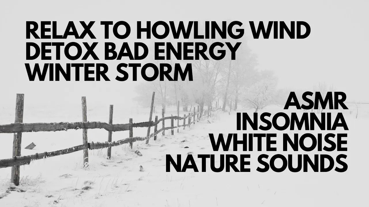 DETOX BAD ENERGY WITH NATURE SOUNDS OF HOWLING WINDS IN A WINTER STORM, WHITE NOISE, SLEEP, STUDY