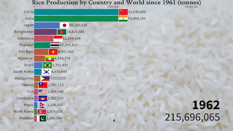 🍚 Rice Production by Country and World since 1961