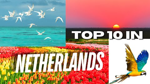 Top 10 Must-See Places in the Netherlands for First-Time Visitors