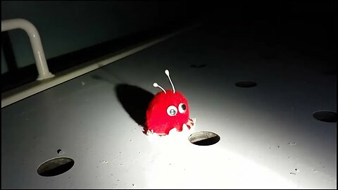 Lost in Roßlau