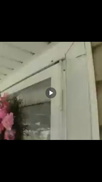 I could not believe my eyes