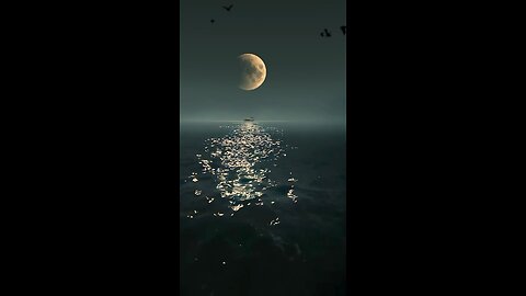 Lofi Music