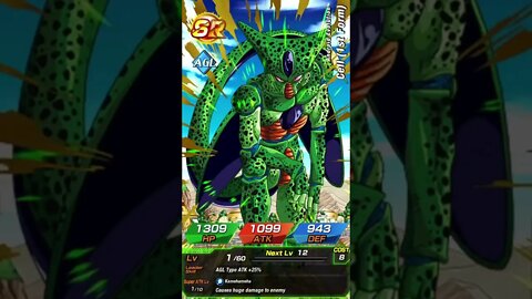 Vegito Doesn’t Help…| WW Celebration 2022 Dokkanfest #dragonball #dokkanbattle #dokkan #dbz