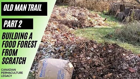 Old man trail pt 2 - making a food forest from scratch using free leaf bags.
