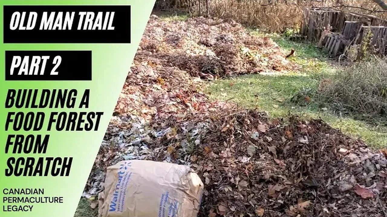 Old man trail pt 2 - making a food forest from scratch using free leaf bags.