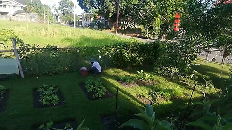 STARTING NEW GROWING SEASON