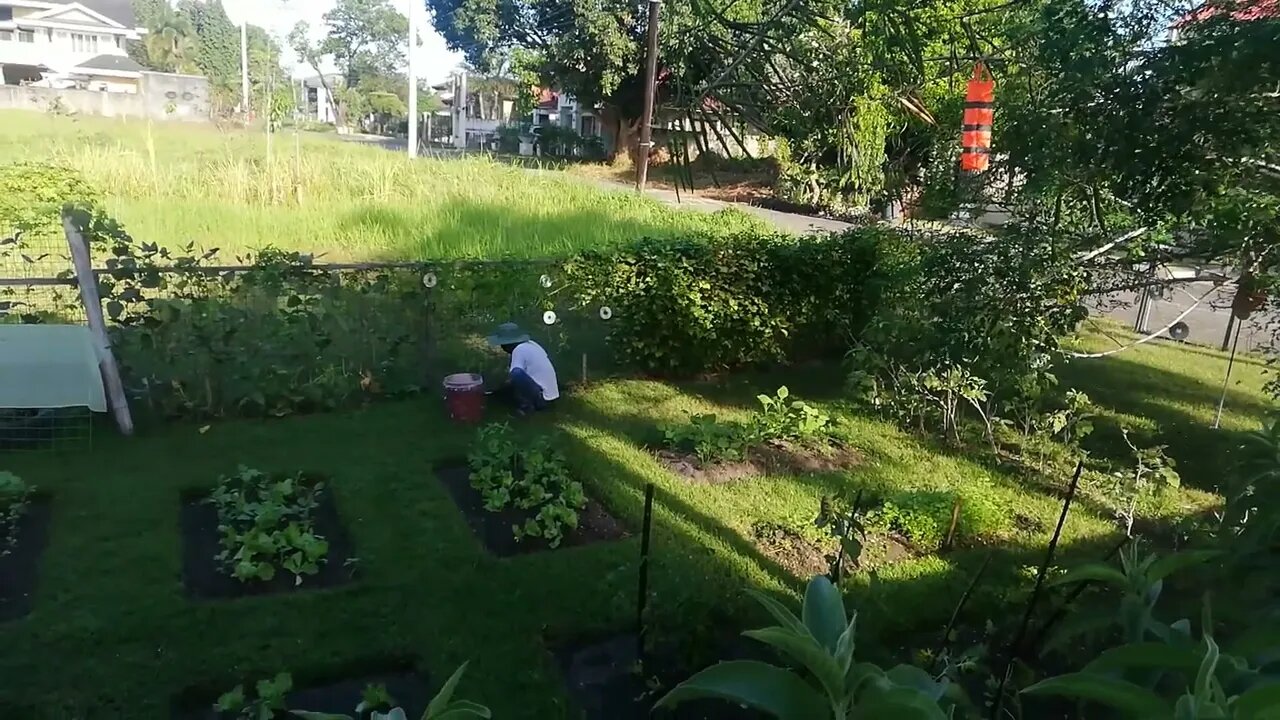 STARTING NEW GROWING SEASON