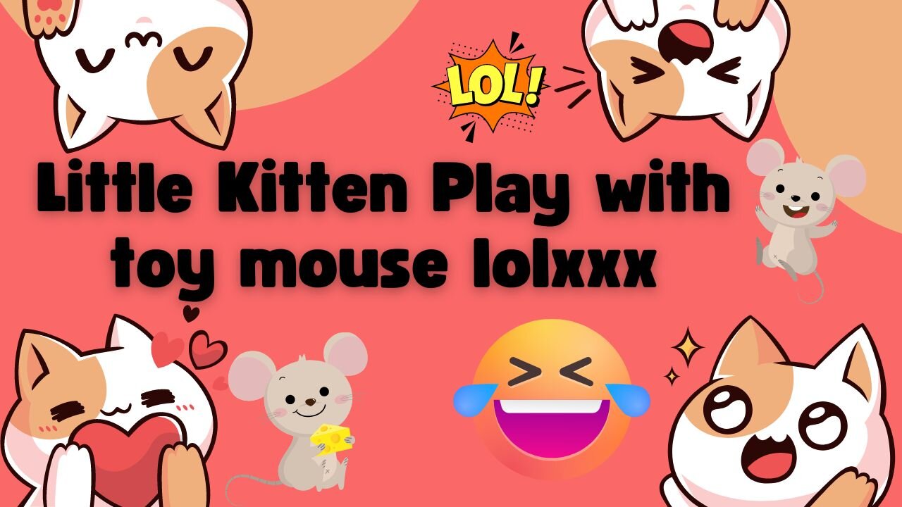 lolxxx very funny video my kitten play with toy mouse