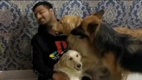 Estudante reencontra os seus cães após 6 meses fora!
