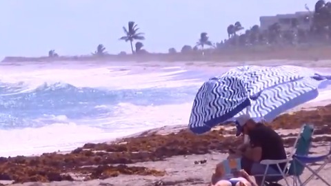 Preliminary results: Red tide in Palm Beach County waters