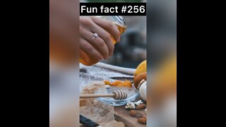 Honey was used as what?