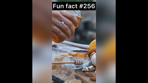 Honey was used as what?