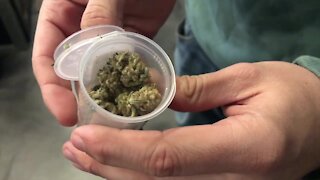 Proposed legislation would ban marijuana billboards