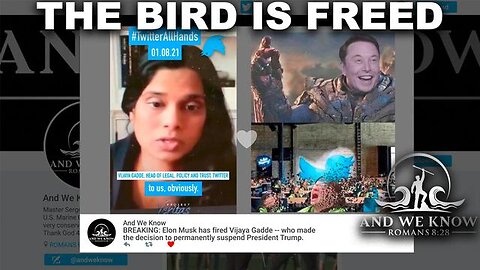 10.28.22: Cue up Rockin Robin, MANY are CELEBRATING MUSK takeover, 20% Slides MATCHING UP! PAIN!