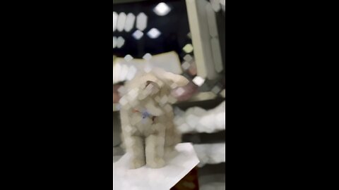 Animal