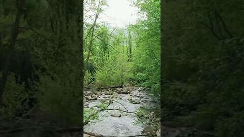 Riverside Retreat: Serene Water Sounds to Escape and Rejuvenate. Full video in channel #meditation