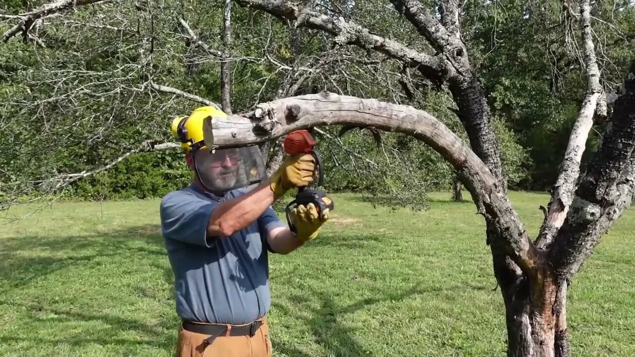 It DIED and Needs to GO! Tingmengte Chainsaw to the Rescue! PLUS A GIVEAWAY!