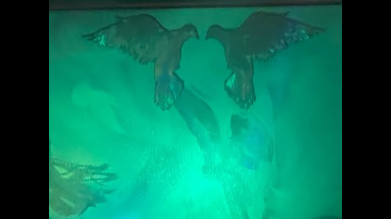 Starlink? Then "Go UP to Jerusalem" Then "God WILL Come With VENGEANCE" Get a Spatula- KING's Coming