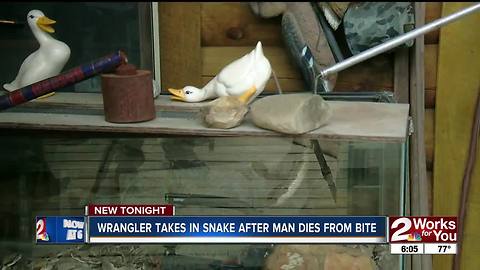 Man bitten by rattlesnake, dies