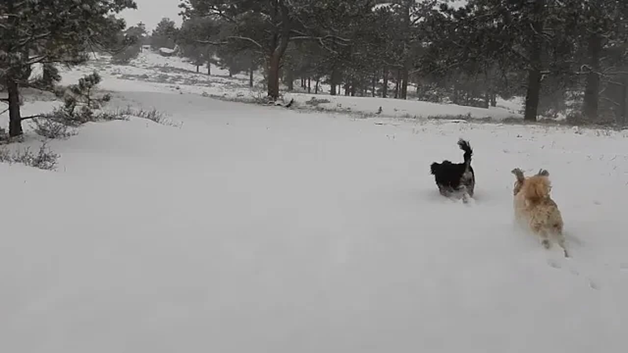 2,491 Days Left For The Planet