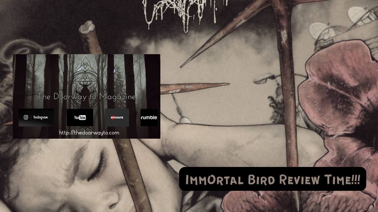 20 Buck Spin - Immortal Bird - Sin Querencia - Video Review
