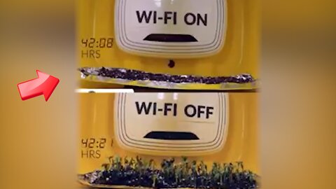 There is a difference in plant growth depending on whether Wifi is on or off [conspiracy]
