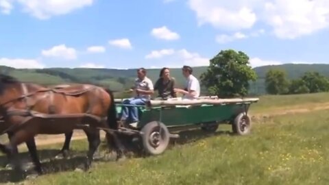 IT'S GOOD TO BE KING -SCOTTY FILMS- TOM PETTY