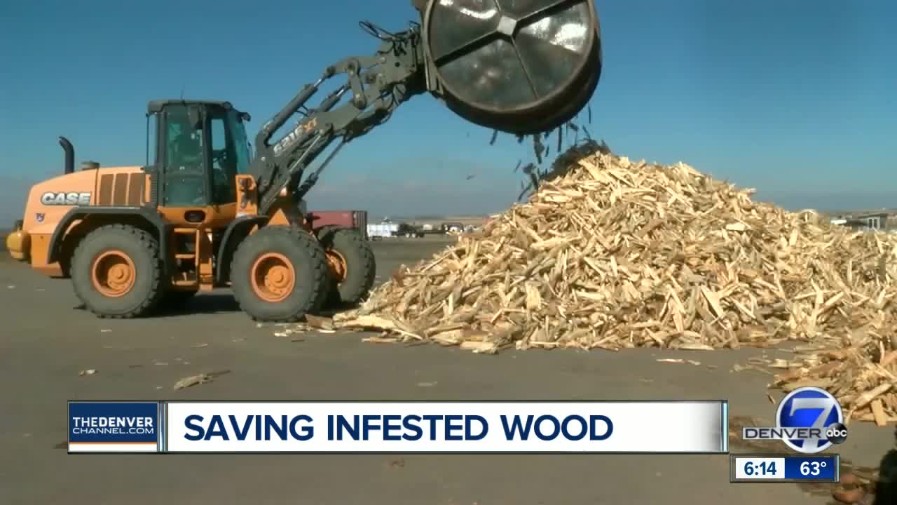 Colorado company turning beetle kill into organic bio-fertilizer