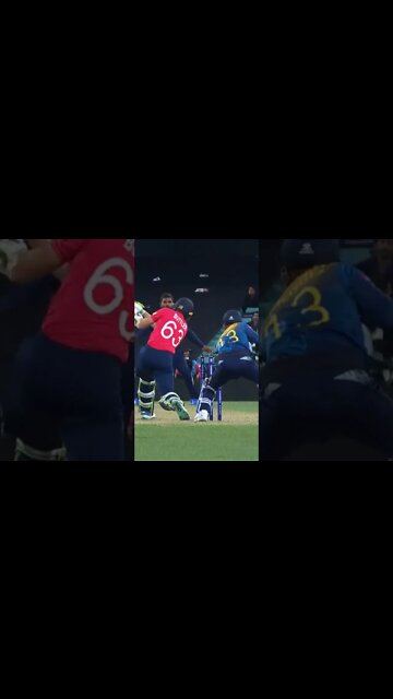 @NSJ TV @cricket.com.au #cricket @cricket.com.au