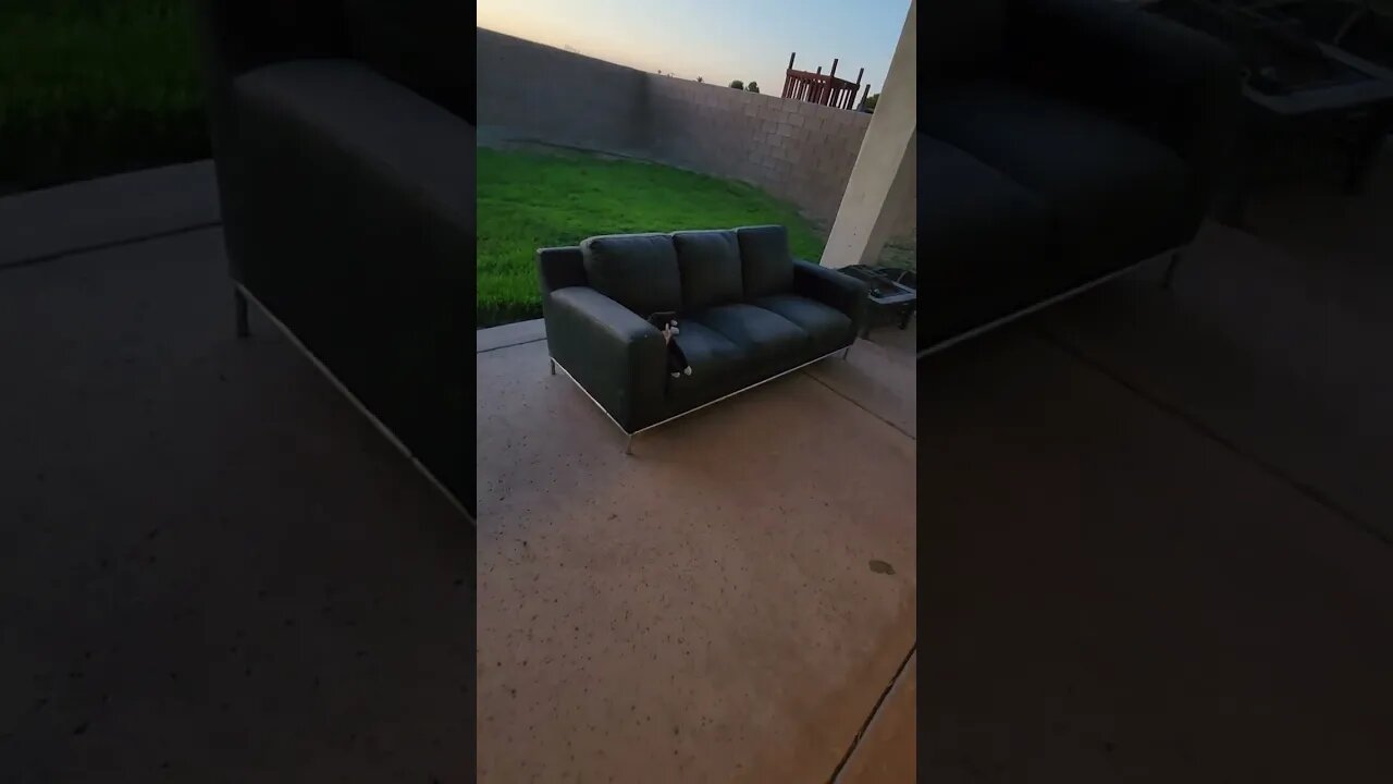 Binx ain't having it