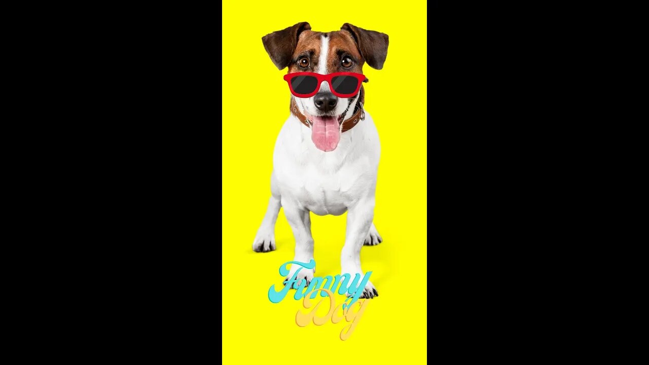 🤣Funny Dogs Dance Party 2022 Video Clips #shorts