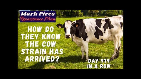 So Now The Cow and it's Moo Have Arrived? How Did You Figure That Out?