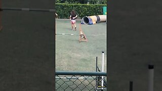 agility esporte para a família crianças adultos e idosos